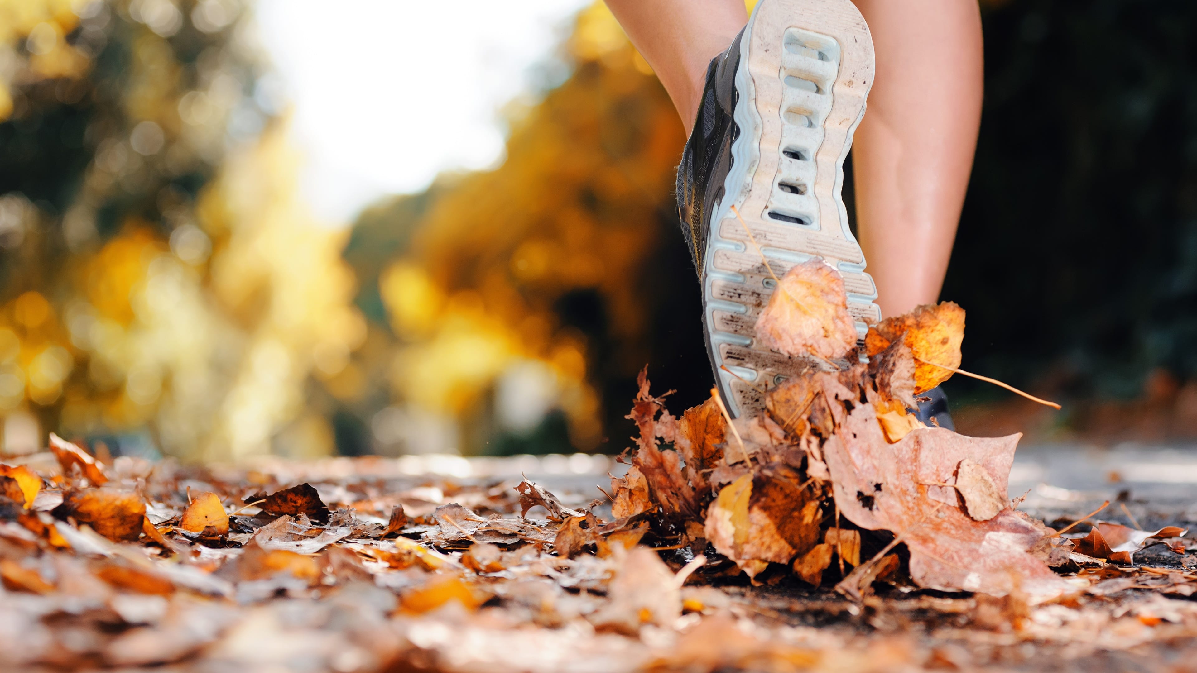 Ways to diversify autumn workouts